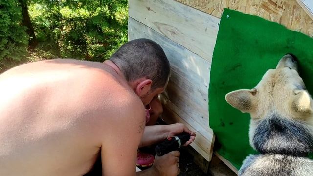 Будка своими руками смотреть онлайн