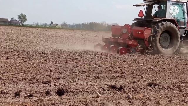 SIANIE QQ 2k22 MF i hassia смотреть онлайн
