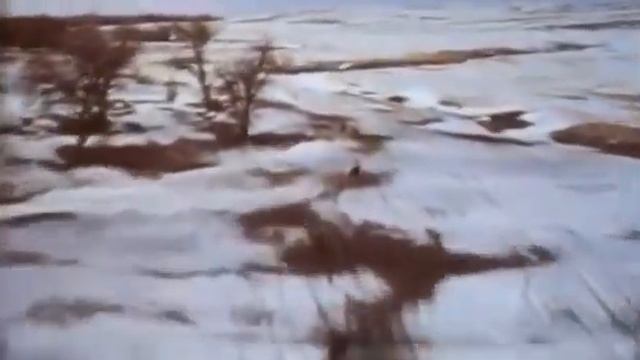 UFOs: Past Present And Future. (UFOS: It Has Begun)