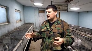 вакцинация кроликов/ методы вакцинации от миксоматоза и вгбк(часть 2)