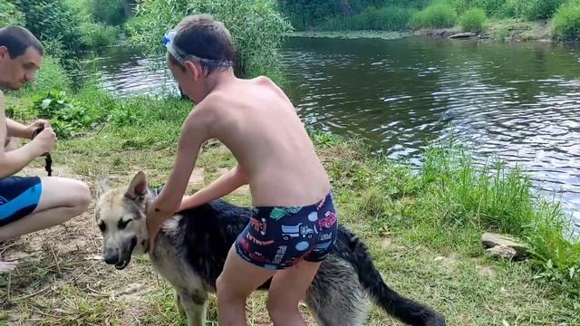 Купаемся.Река Пахра. Мухтар купается в первый раз смотреть онлайн