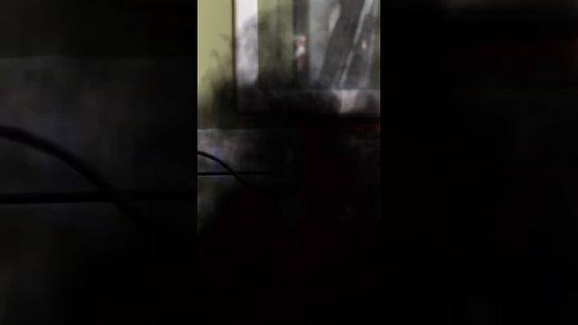 #работа #reels #рекомендации