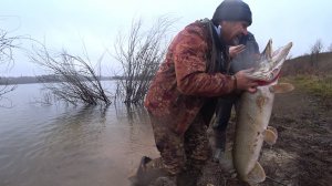 Эту рыбалку ждал 2 года.Щуки монстры.