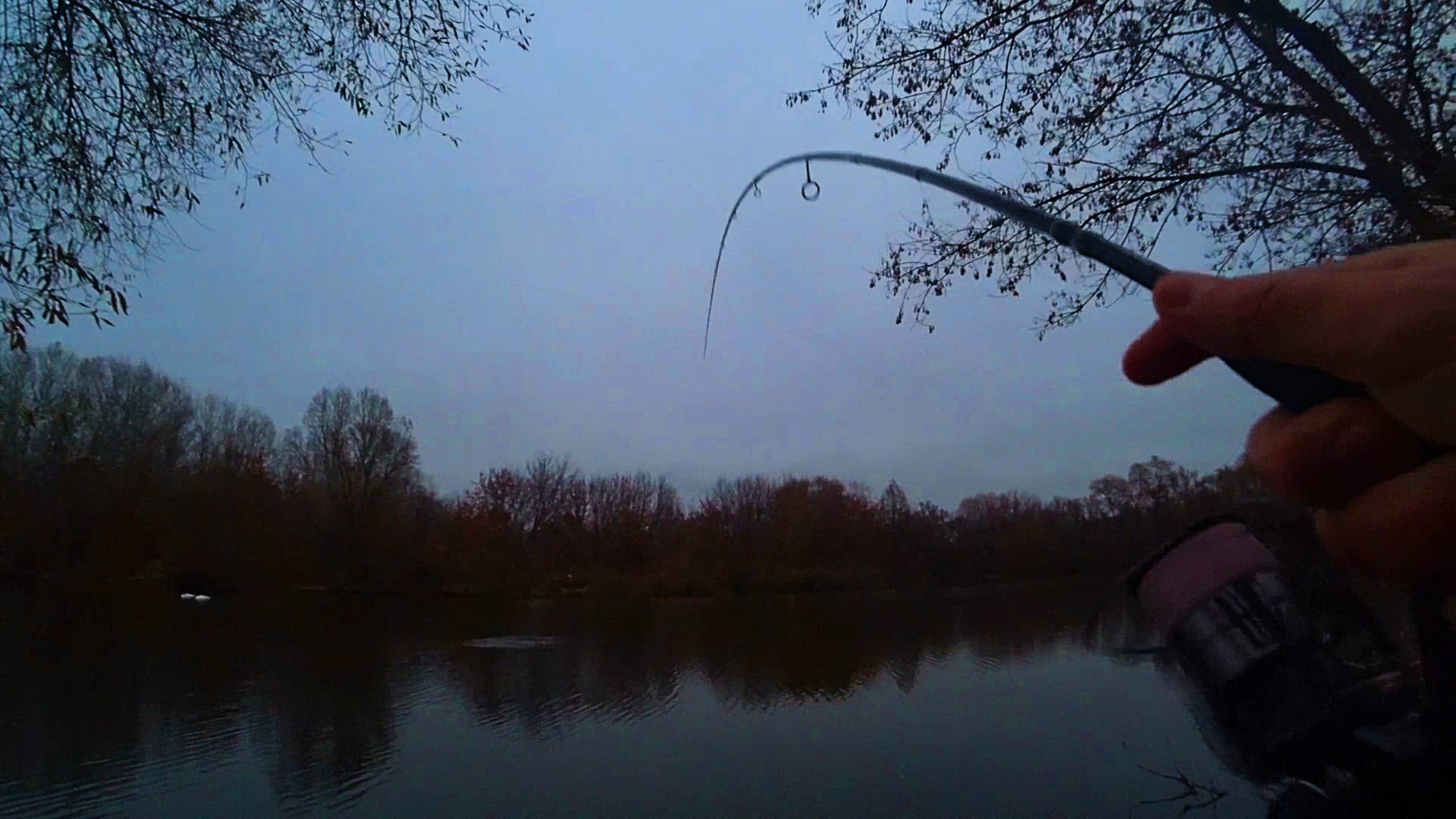 спиннинг для джига CF Optimus. Щука на джиг с берега. смотреть онлайн