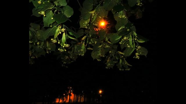 2020 Мгновения 12 Парк Победы смотреть онлайн