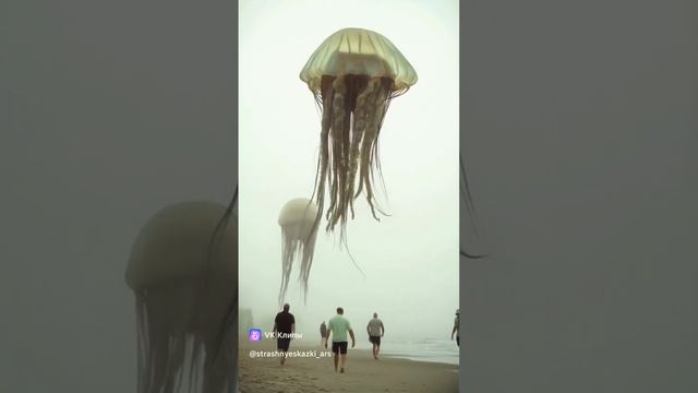 VID_20241103_180415_346.mp4