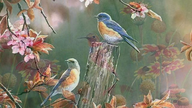 «Птички» смотреть онлайн