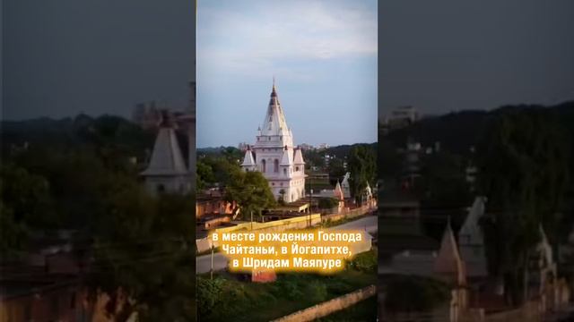 ЛАМПАДКИ ПРЕДЛОЖЕНЫЕ БОЖЕСТВАМ 🪔 смотреть онлайн