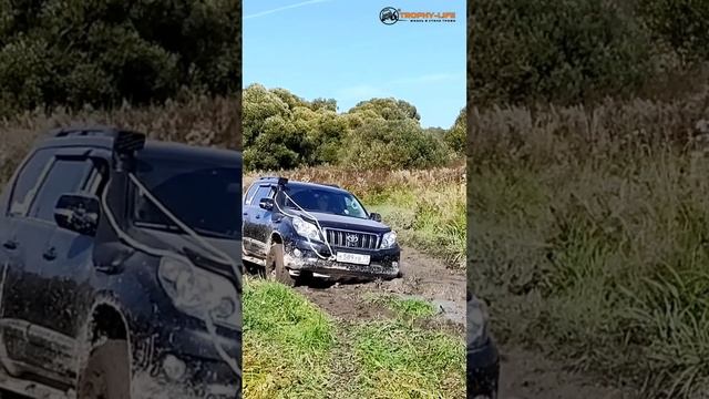 Легко для Прадо! смотреть онлайн