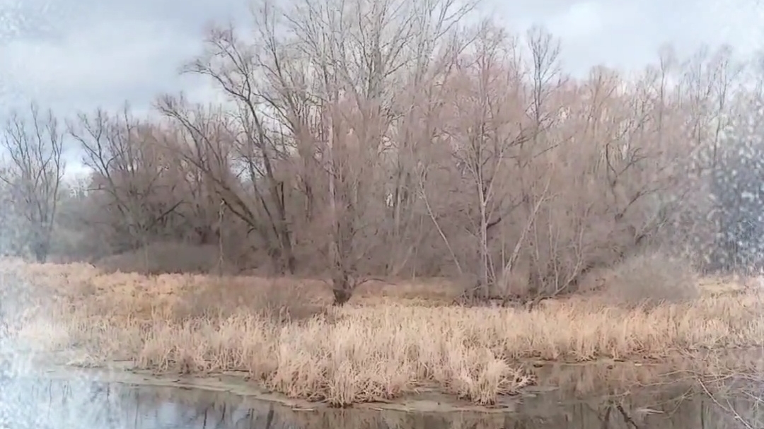 Ноябрь смелою походкой... смотреть онлайн