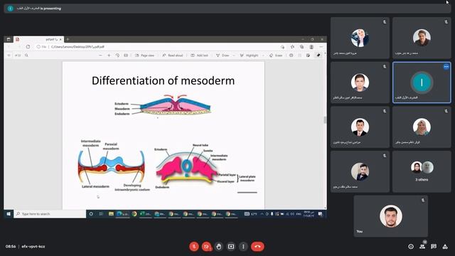 Embryology Mesoderm ,Somites ,Blood & blood vessels смотреть онлайн