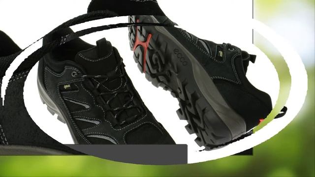 Ecco Xpedition II GTX Herrenschuhe Schwarz (134-00-0009)