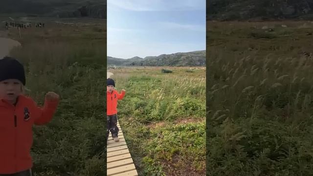 Как называется водоворот, из которого течет вода? смотреть онлайн