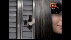 Реклама шампуня Nivea 2010