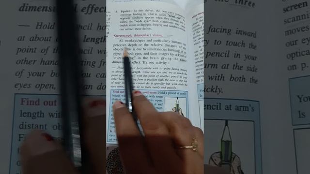 Stereoscopic (binocular vision) смотреть онлайн