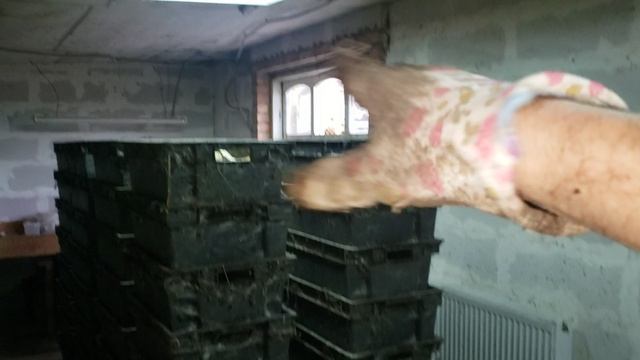 Солома для навозного червя . смотреть онлайн