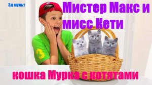 Мистер Макс и мисс Кети | У кошки Мурки появились котята #мистермакс #мисскети #кошкамурка #3дмульт