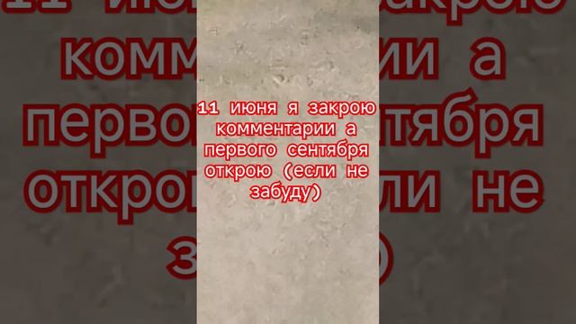 9 июня 2024 г. смотреть онлайн