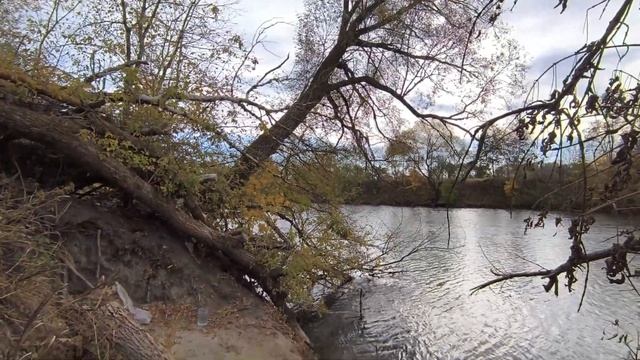 В гости к Щуке.Подводная съёмка реки Сейм.Курск.4К.Осень 2024 смотреть онлайн