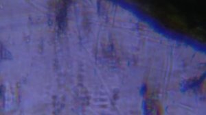 Портативный микроскоп Carson Microflip 250.Распаковка и обзор.Город Курск.28 января 2024