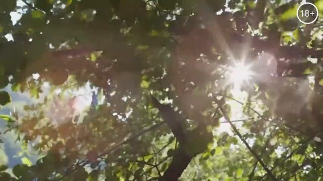 Десятый лунный день | 10 лунный день смотреть онлайн