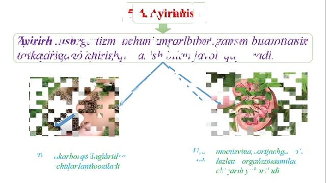 BIOLOGIYA 5 SINF 2 DARS