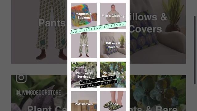 Plant People! Checkout @LivingDecorStore Denver! Plants Cactus Woodworking & Care Services смотреть онлайн