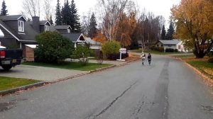 Осень.2017.  Район Turnagain . США.  Аляска . Анкоридж.
