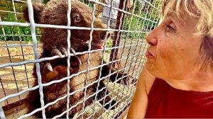 Спасенный медвежонок Лейла теперь НЕ ОДНА, ей подселили ДРУГА, который так любим маму-Лялю!