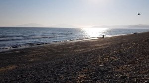 Купание в Охотском море, Нюкля. Магадан. Август 2018