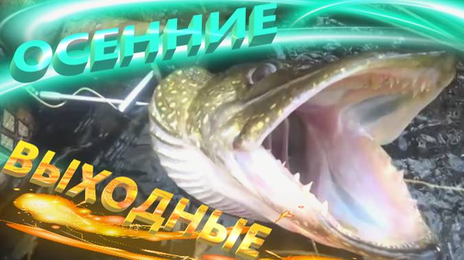 ПОДВОДНАЯ ОХОТА НА САЗАНА . СОМА . ЩУКУ . КАРАСЯ. ОСЕНЬ 2024