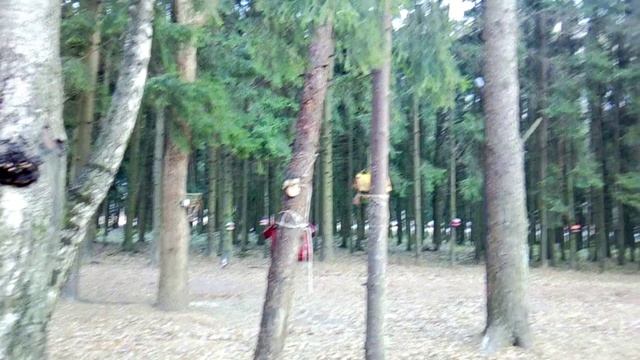 Обзор полок в Чижик.Парк и белочки.Распаковка .Еда. Обзор буклета смотреть онлайн