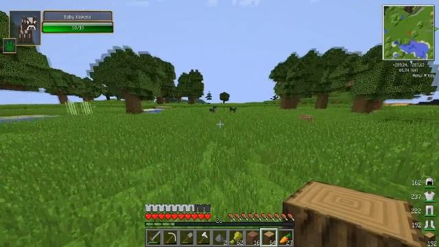 Minecraft - Свобода #5 Разводим скот смотреть онлайн