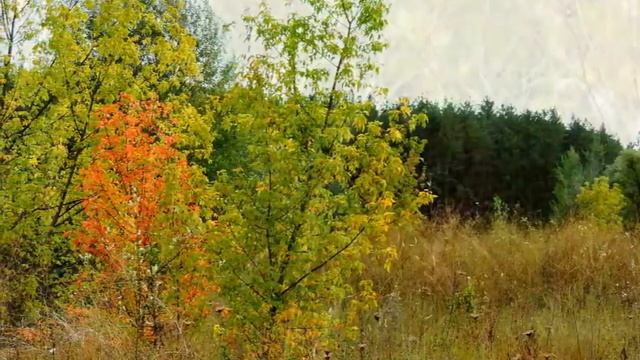 Просто ..." Сентябрь " смотреть онлайн