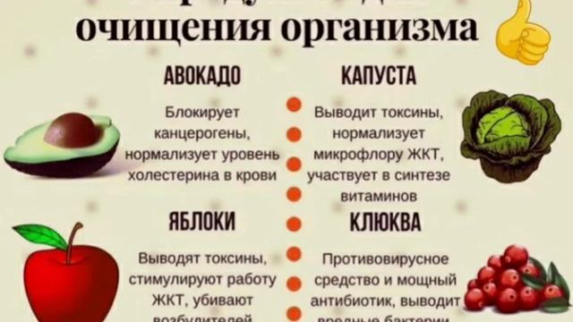 8 продуктов для очищення организма смотреть онлайн