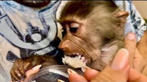 Мама кормит маленькую Тосю первой в ее жизни вкусной кашей, малышка худенькая, нужно откормить