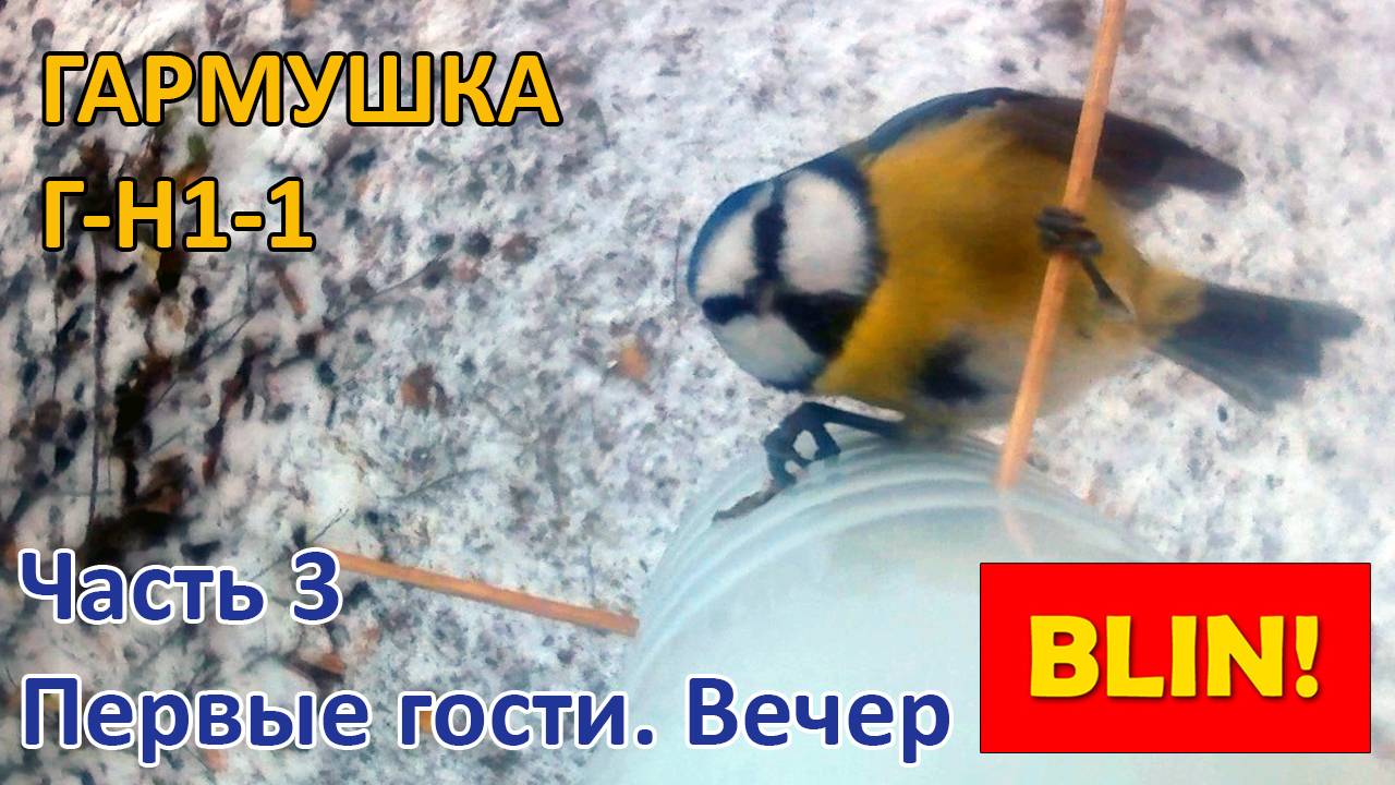 Г-Н1-1 - Первые гости. Вечер