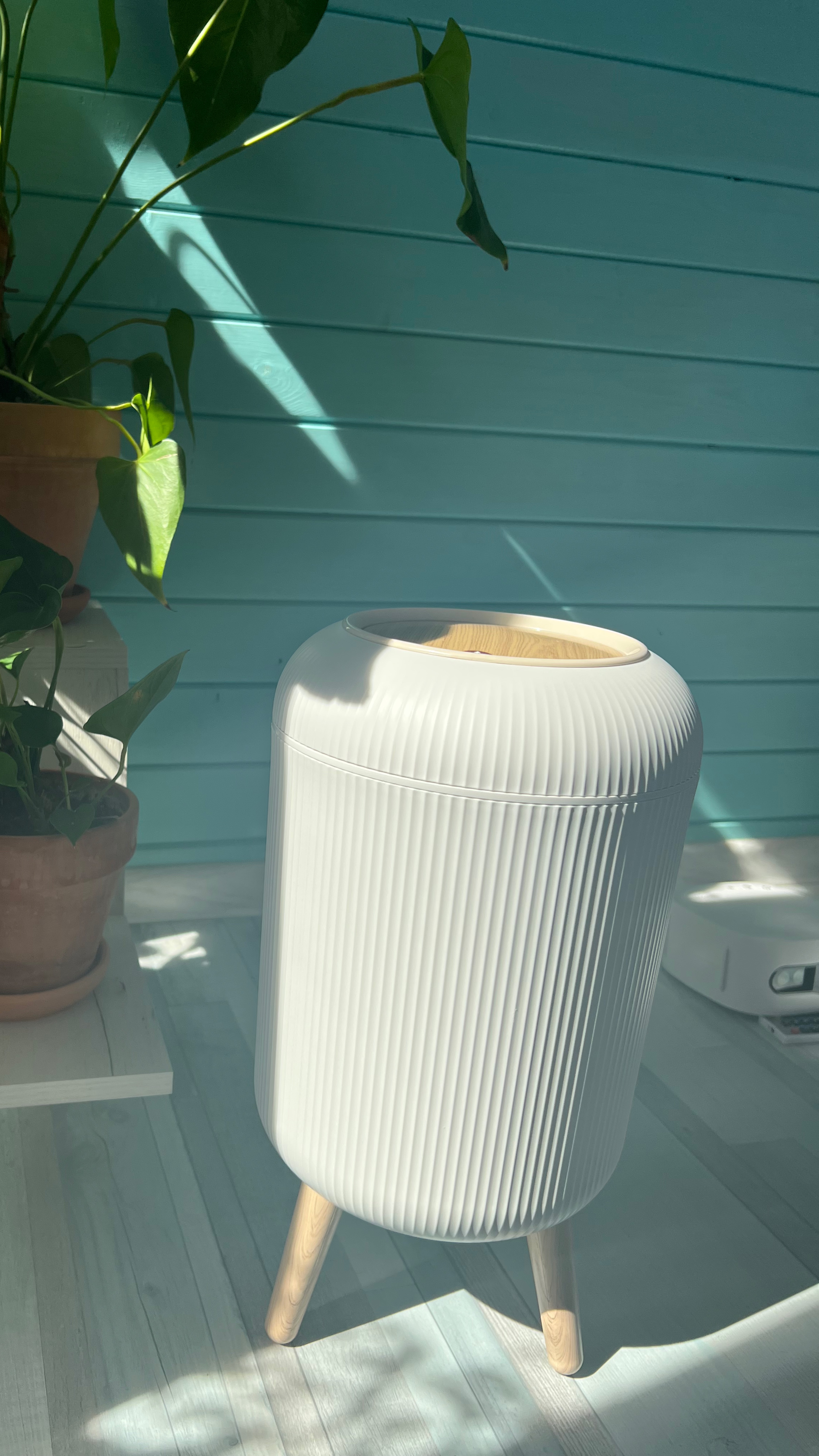 ВЕДРО ДЛЯ УБОРНОЙ! ОБЗОР! НЕДОРОГО И СО ВКУСОМ! #сезонконтентаRUTUBE