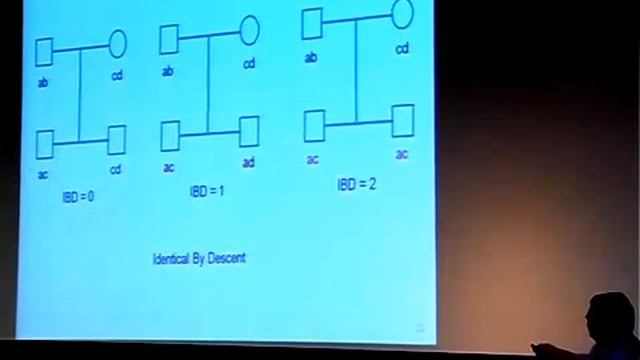 The Jewish Genome in the Genome Era - Dr. Gil Atzmon смотреть онлайн