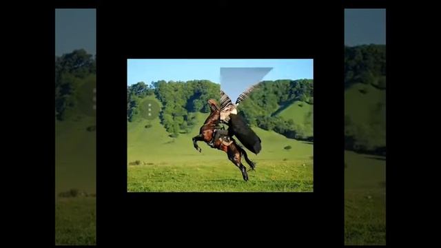 Гимн Дагестана. Ширвани Чалаев смотреть онлайн