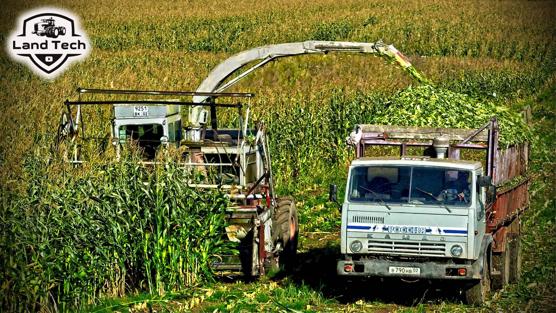 Запустили старый кормоуборочный комбайн КСК-100А на уборку кукурузы на силос! смотреть онлайн