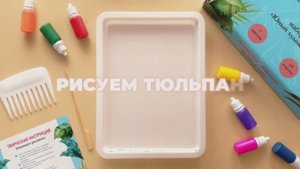 Тюльпан