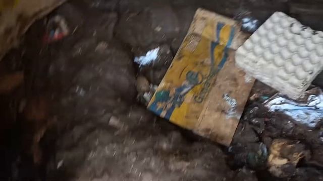 Подстилка у свиней зимой, если нет соломы, щепы, опилок. Эконом вариант. смотреть онлайн