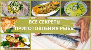 Как вкусно приготовить рыбу? 6 лучших рецептов из рыбы которые вам точно захочется приготовить!