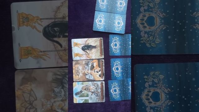 Суженый мой, ряженый мой. Кто он? Перспективы отношений. смотреть онлайн