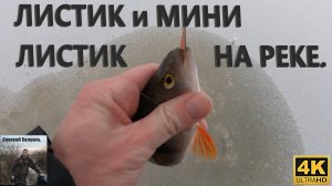 Зимняя блесна листик и мини листик на реке. Ловля окуня на зимнюю блесну.