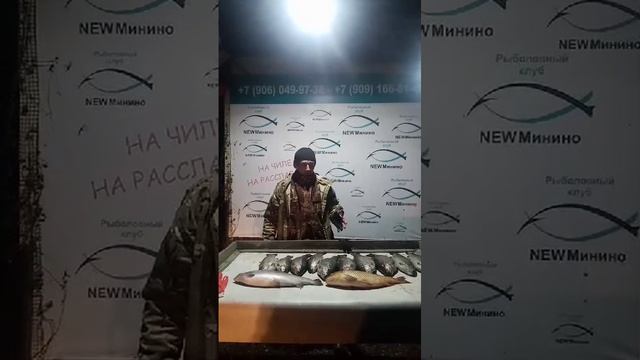 улов гостя смотреть онлайн