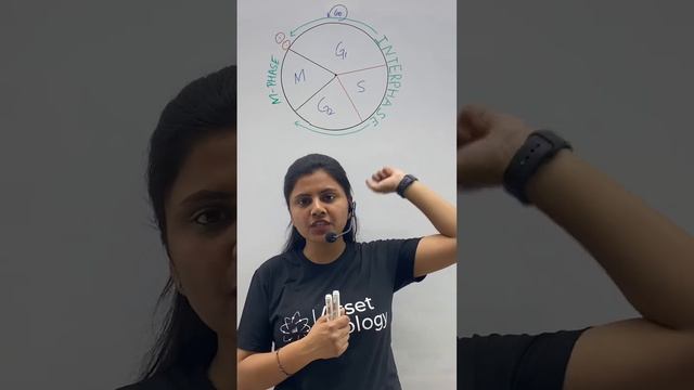 Phases of Cell Cycle | Cell Cycle & Cell Division | Class 11 Biology | NCERT | NEET смотреть онлайн