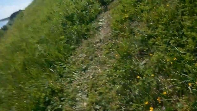 бег. полумарафон. Семигорье смотреть онлайн