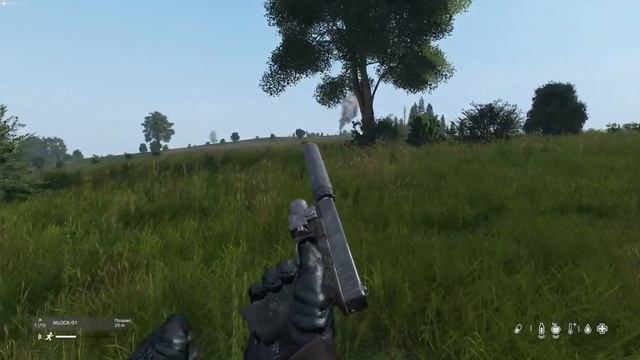 DAYZ. Сервер Sayonara Livonia. Рейд?